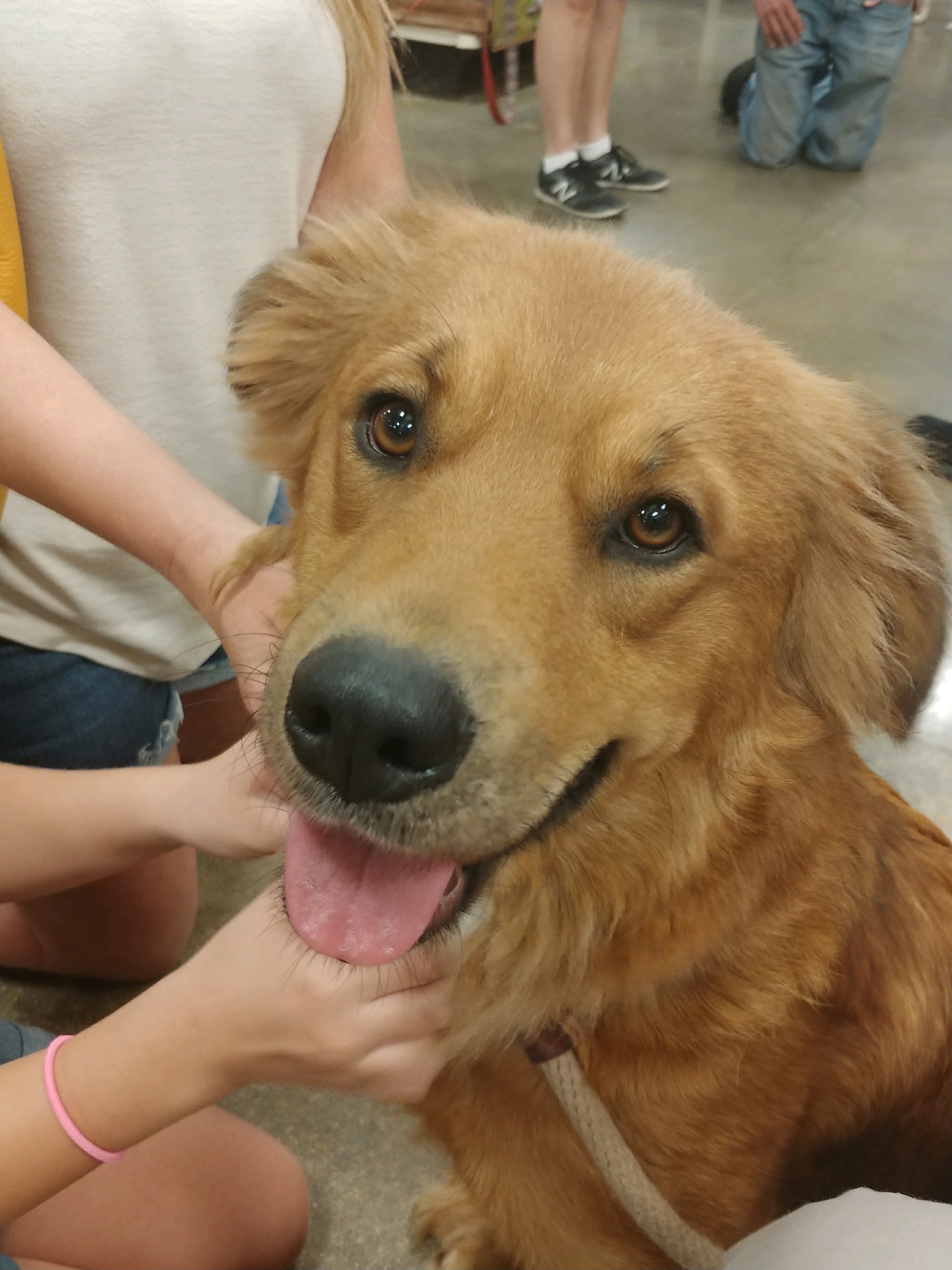 Hannah at petsmart